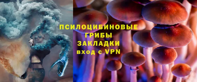 Псилоцибиновые грибы Psilocybine cubensis  МЕГА ТОР  Берёзовский 